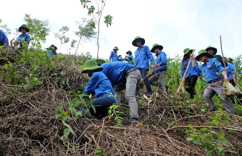 Sinh viên tình nguyện băng rừng, lội suối lên vùng cao giúp đồng bào trồng rừng phủ xanh đồi trọc - d