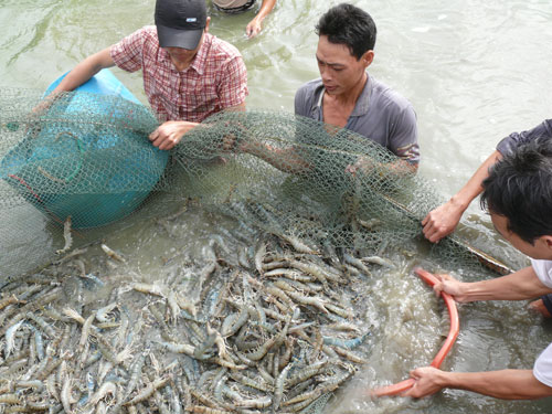 Gỡ khó cho ngành thủy sản