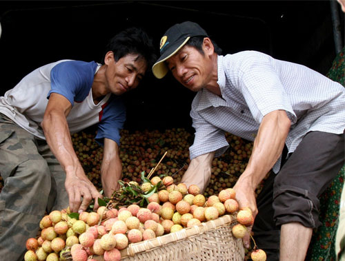 Trái cây Việt Nam sẽ “rộng cửa” vào thị trường Mỹ
