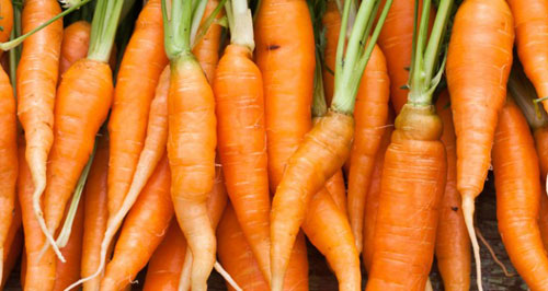 Cà rốt không chỉ bổ mắt