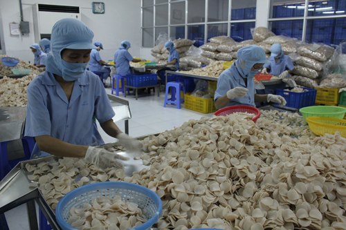 Sản xuất bánh phồng tôm tại Công ty Sa Giang (Đồng Tháp) d