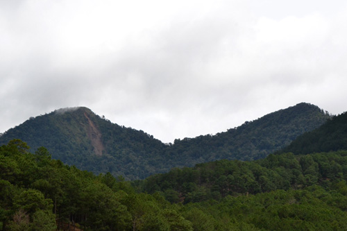 Núi Lang Biang (Đà Lạt) bị sạt lở