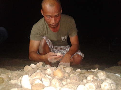 Rùa da ở Việt Nam có nguy cơ bị xóa sổ 9