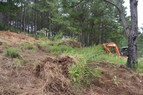 Ngăn chặn vụ san ủi đất rừng cạnh đèo Prenn 1