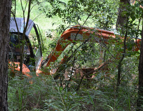 Ngăn chặn vụ san ủi đất rừng cạnh đèo Prenn 3