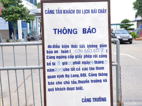 Bão số 7: Cấm tàu thăm vịnh Hạ Long rời cảng