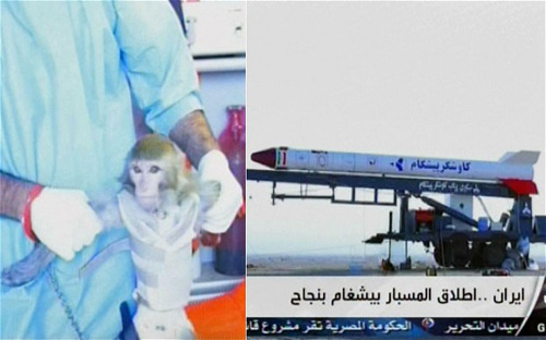 Iran đã đưa thành công một con khỉ sống vào không gian 