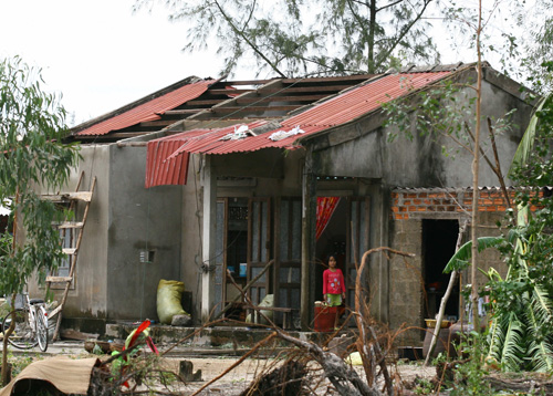 Tôn và tấm lợp là vật liệu mà người dân tỉnh Quảng Trị đang rất cần để làm lại mái nhà, ổn định đời sống