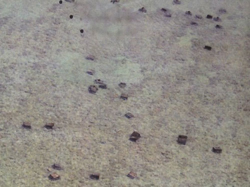 Bộ trưởng Gazmin trưng tấm ảnh chụp từ máy bay cho thấy các khối bê tông nằm rải rác tại bãi cạn Scarborough - d