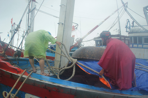 Các ngư dân Tam Giang (H.Núi Thành) che đậy tàu tránh bão