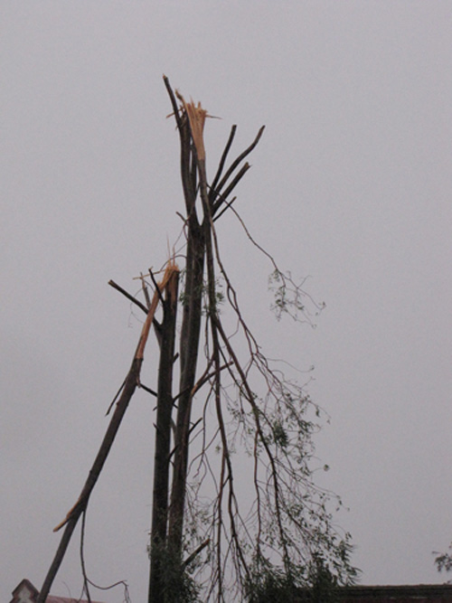 Quảng Bình hoang tàn, đổ nát sau bão 18