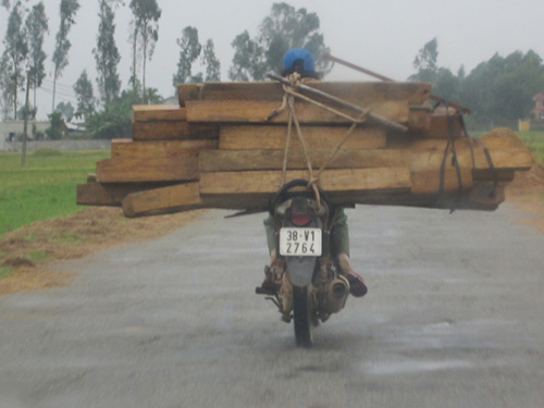 Lâm tặc vận chuyển gỗ lậu trên tỉnh lộ 15 ở Hà Tĩnh 1