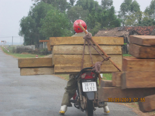 Lâm tặc vận chuyển gỗ lậu trên tỉnh lộ 15 ở Hà Tĩnh