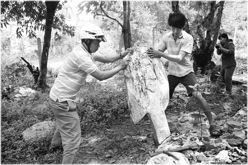 Anh Hồ Thanh Điền, người được ông Chứng thuê coi khu vườn, cùng người dân hạ một bức tượng còn dựng đứng tại vườn tạm thời để nằm xuống đất