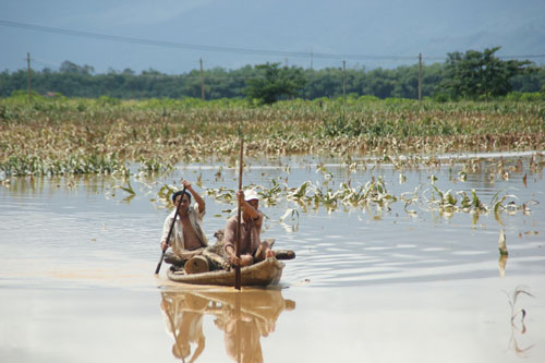 Bão số 8 tại Quảng Nam: Nhiều địa phương ngập trong nước lũ 7