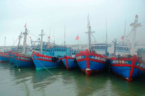Quảng Nam: Còn 65 tàu thuyền hoạt động trên biển