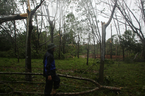 Quảng Trị: Đã có 12 người bị thương vì bão