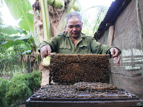 Nghề nuôi ong ở vùng biên