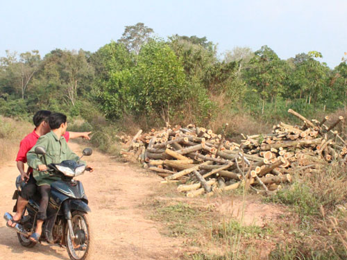 Đặc biệt trên báo in ngày 7.1.2014