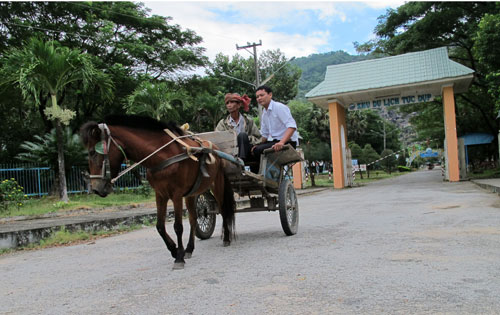 Xe ngựa vùng Bảy Núi