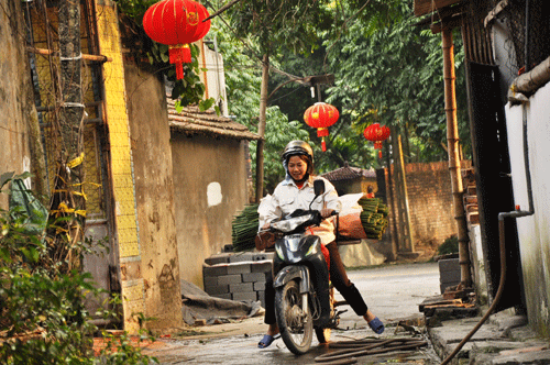 lá dong tuấn dị