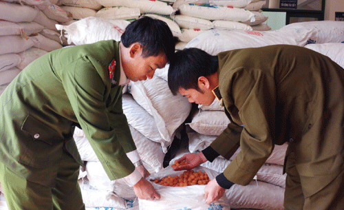 Bắt quả tang vụ vận chuyển gần 15 tấn mì chính Trung Quốc 4