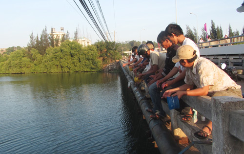 Câu cá đối bằng chai 