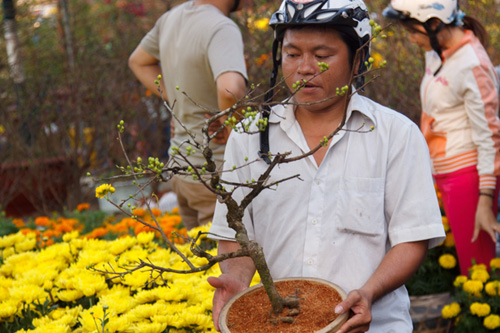 Bến Bình Đông  4