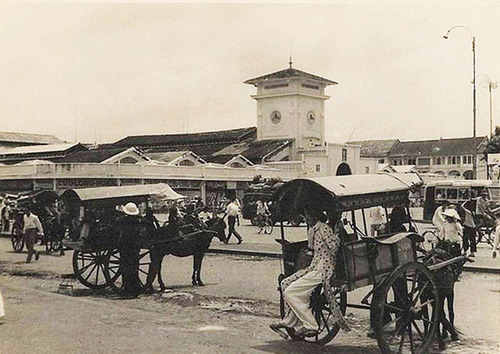 Xe ngựa 