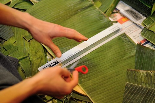 Việc cắt lá chuối cũng được đo đạc cho chuẩn từng milimet - Ảnh: Tuấn Trương