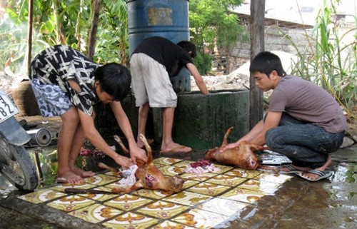 Các nhân viên đang làm thịt chó tại một cửa hàng