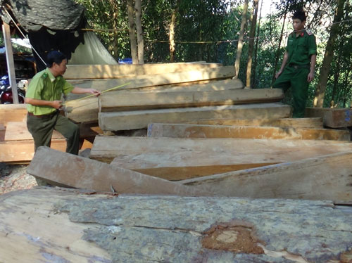 Đội kiểm lâm cơ động Khánh Hòa phát hiện bắt giữ 4 bè gỗ lậu trên sông cái .