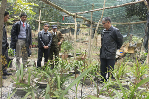 Ngày hội hoa lan trong...trại cai nghiện 9