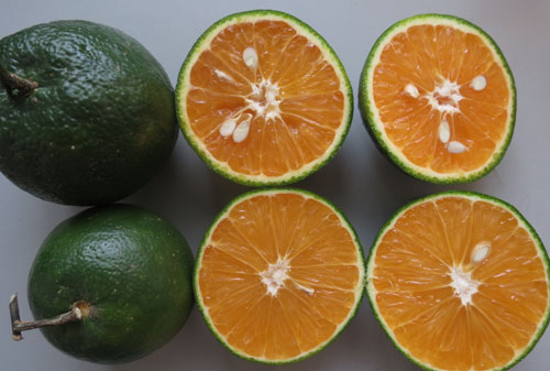 Vitamin C có thể giảm nguy cơ đột quỵ