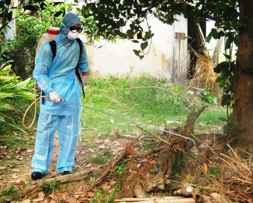 Quảng Nam khẩn cấp ứng phó dịch cúm gia cầm
