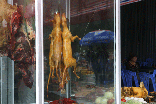 Trẩy hội, du khách bị lừa mua "thịt thú rừng" ở chùa Hương 11