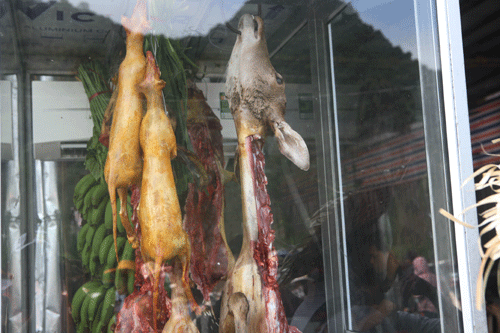 Trẩy hội, du khách bị lừa mua "thịt thú rừng" ở chùa Hương 6