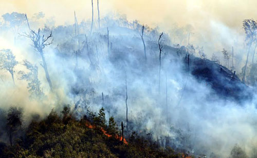 Cháy rừng ở Sa Pa nhiều khả năng do dân đốt nương rẫy