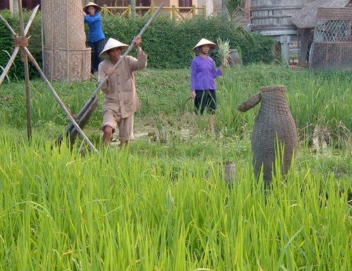 Lượng mưa thiếu hụt nghiêm trọng khiến nông dân Quảng Nam đang gặp khó về nguồn nước - d