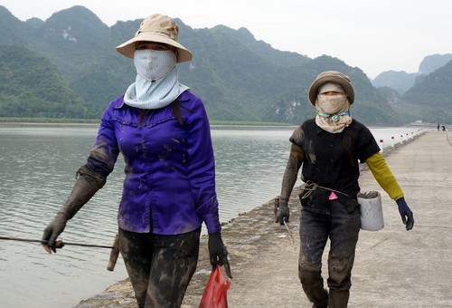 Hai chị Hường, My, ở Quảng Yên đào được hơn kg ngán mỗi người, sẽ bán được gần 400.000 đồng/kg