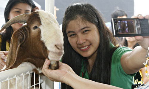 Một cô gái Philippines chụp hình 'tự sướng' tại hội chợ nông nghiệp ở Manila  - Ảnh: The Guardian