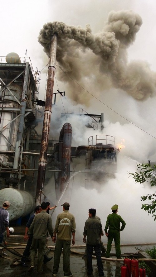 Cháy lớn tại nhà máy gỗ MDF Quảng Trị 8