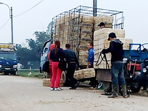 Đặc biệt trên báo in ngày 17.3.2014