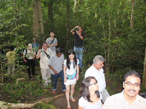 Cân nhắc việc tổ chức festival rừng trong năm 2014