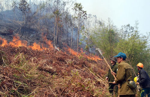 Hơn 700 người dập lửa cháy rừng ở Sa Pa