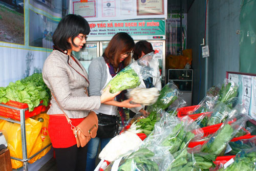 Tự tạo cơ hội: Đưa rau VietGAP ra tận chợ