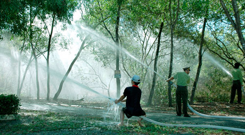 Nâng mức cảnh báo cháy rừng cấp 4 tại vườn chim bạc Liêu 