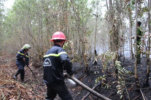 Cháy rừng tràm nhiều người tham gia ứng cứu 2