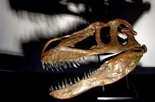 Phát hiện loài khủng long mới tại Bồ Đào Nha
