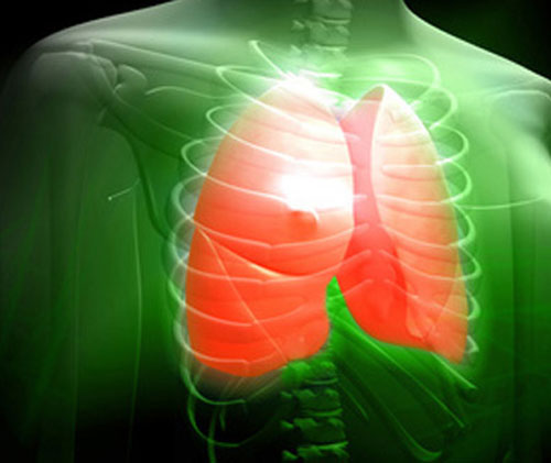 Kỹ thuật 3D tái tạo phổi người